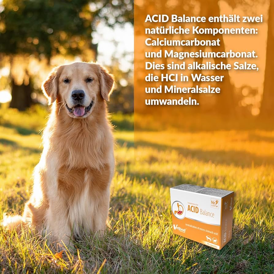 Acid Balance A preparation supporting the digestive system of dogs and cats
