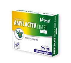 AMYLACTIV DIGEST MINI