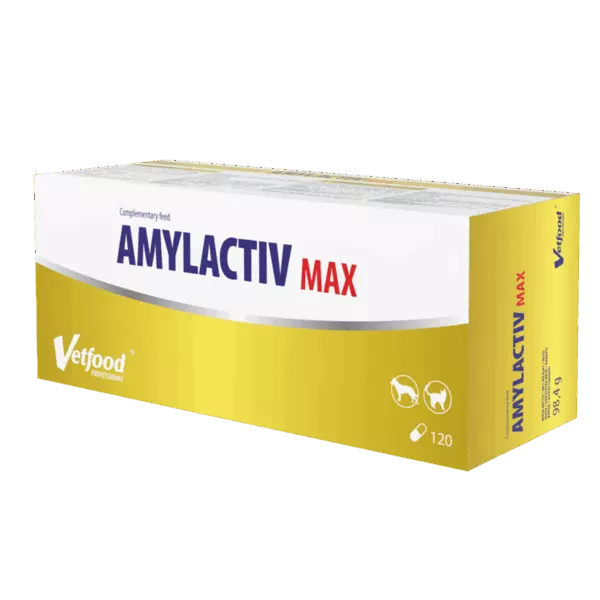 AMYLACTIV MAX