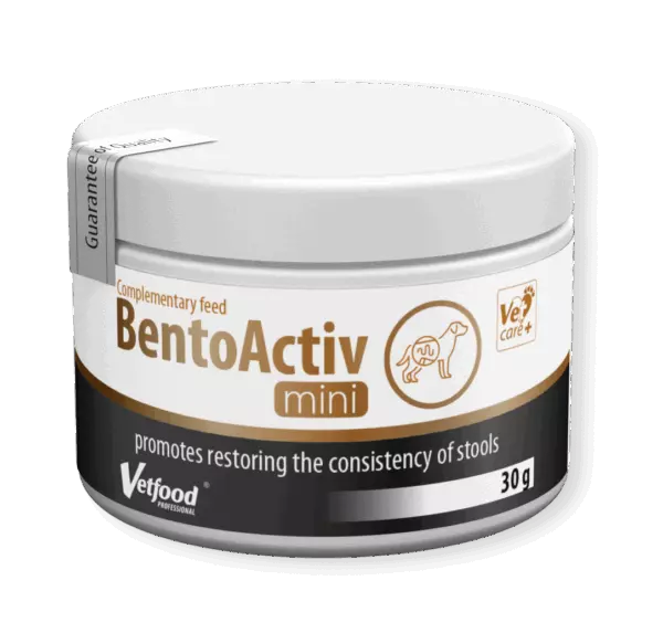 BentoActiv mini
