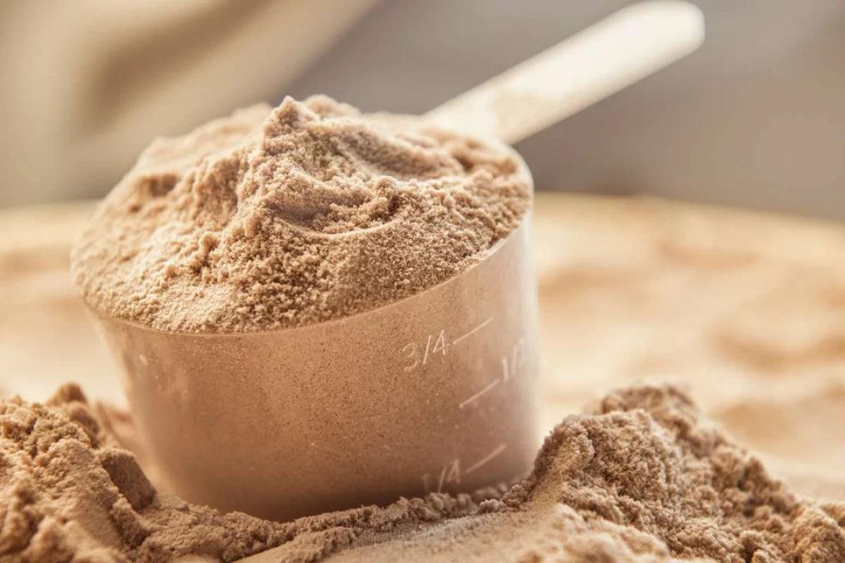 Protein Powders for Weight Loss: How They Can Help You Shed Pounds with Protein Powder Online in UAE - Wellness Shoppee