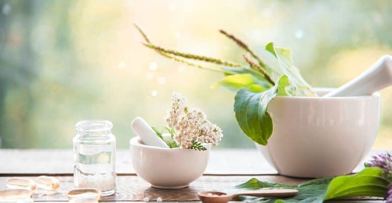 The Benefits of Herbal and Alternative Medicines from Online Pharmacies in UAE - Wellness Shoppee