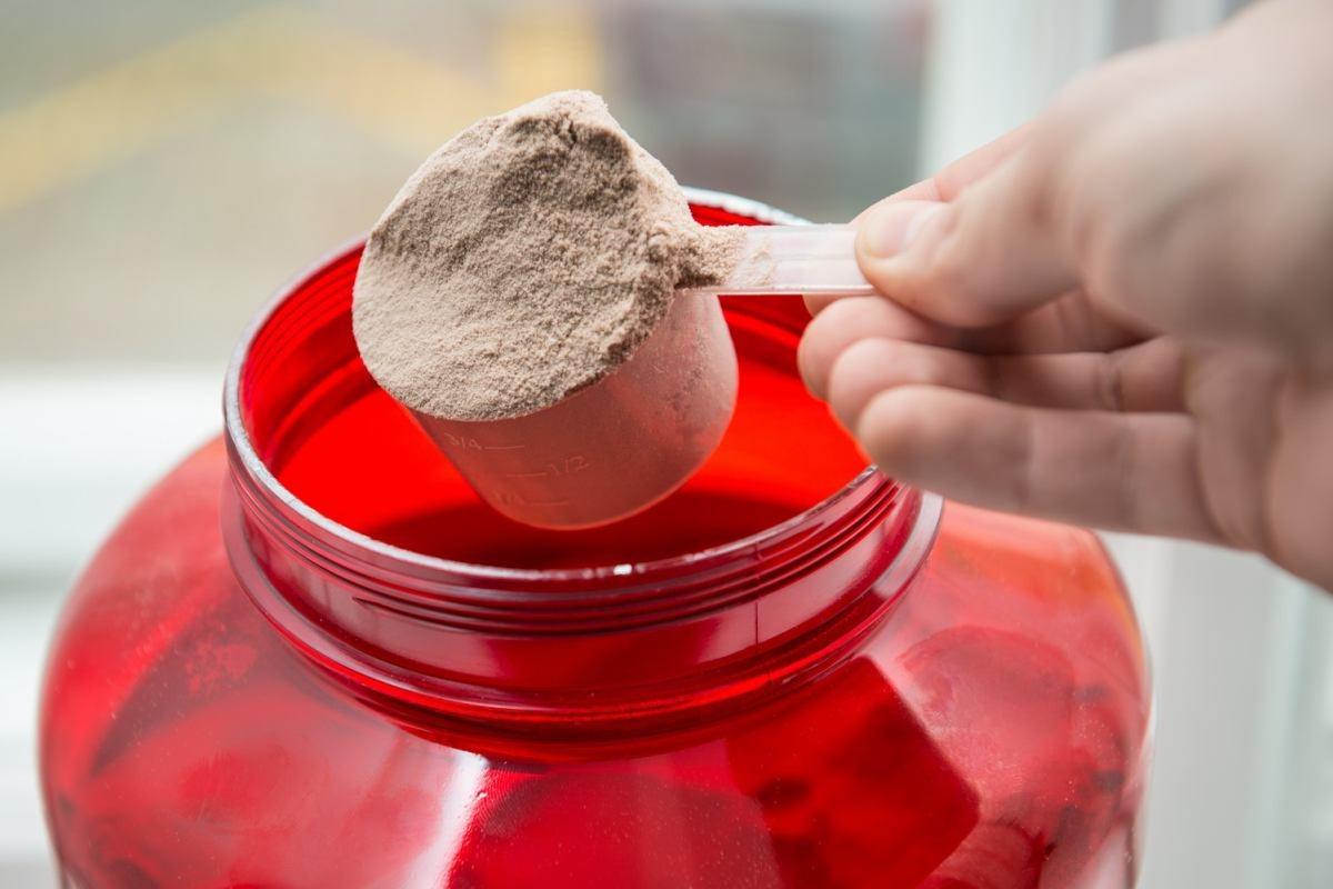 Protein Powders 101: A Beginner's Guide to Getting Started | Protein Powder Online in UAE - Wellness Shoppee