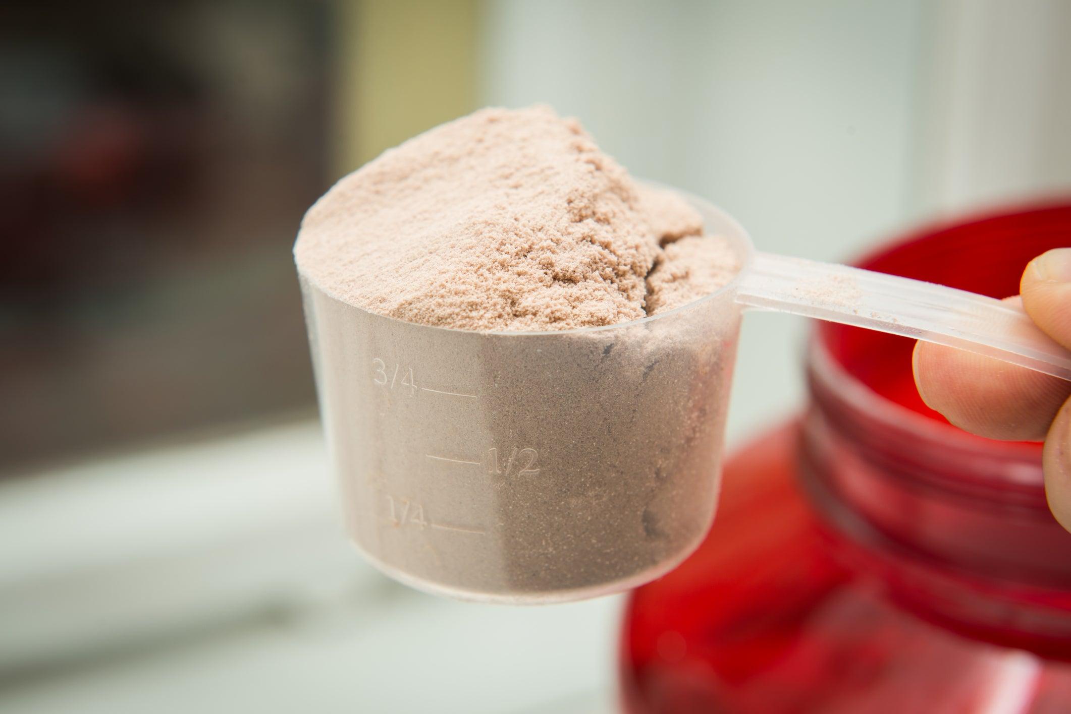 The Different Types of Protein Powders and Their Benefits | Protein Powder Online in UAE - Wellness Shoppee