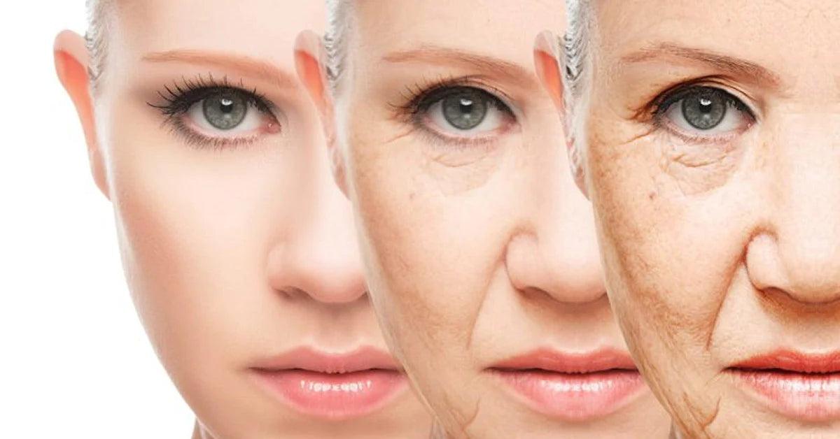 The Science Behind Anti-Aging Skincare: Unveiling the Secrets | Best Online Pharmacy in UAE - Wellness Shoppee