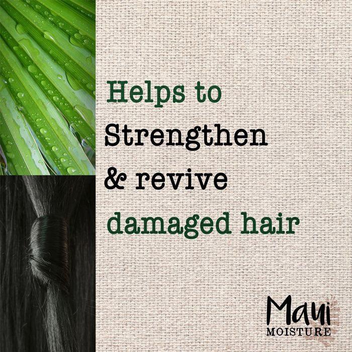 Maui Moisture Thicken & Restore Bamboo Fiber Conditioner 13 oz - Wellness Shoppee