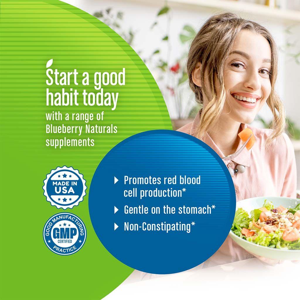Blueberry Naturals Easy Iron 25 mg Vegetarian Capsules 90's - Wellness Shoppee