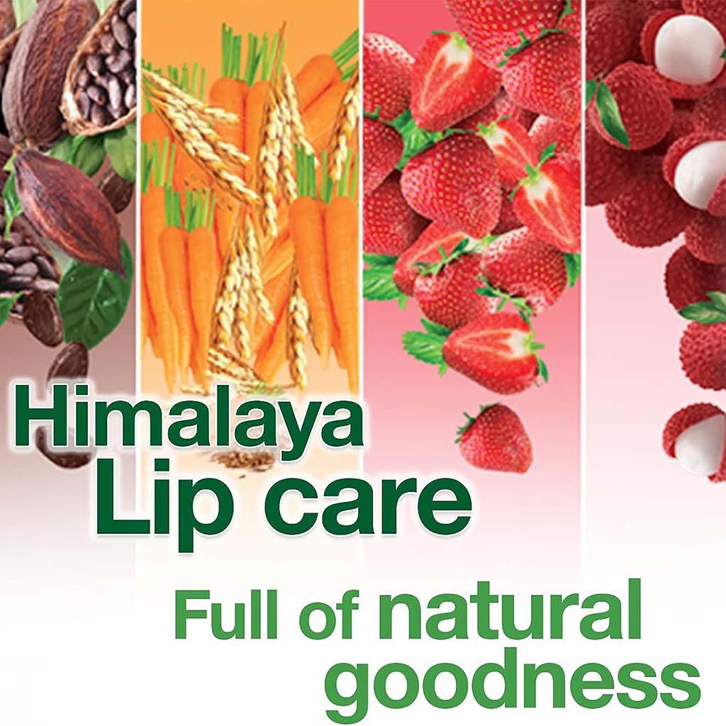 Himalaya Intensive Moisturizing Rich Cocoa Butter Lip Balm 4.5g - Wellness Shoppee
