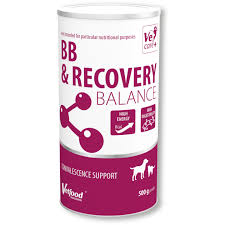 BB & RECOVERY BALANCE