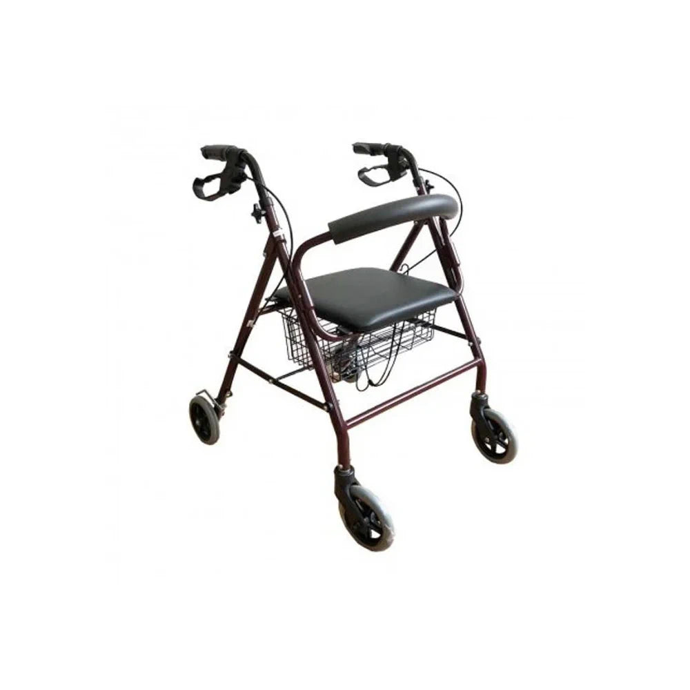 Kaiyang Rollator Model no Ky9144L - Wellness Shoppee